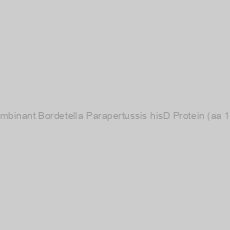 Image of Recombinant Bordetella Parapertussis hisD Protein (aa 1-440)